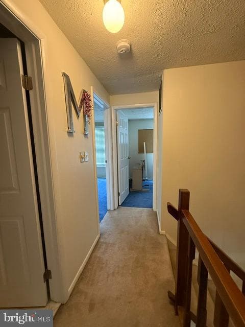 7508 Whaler Court photo 25