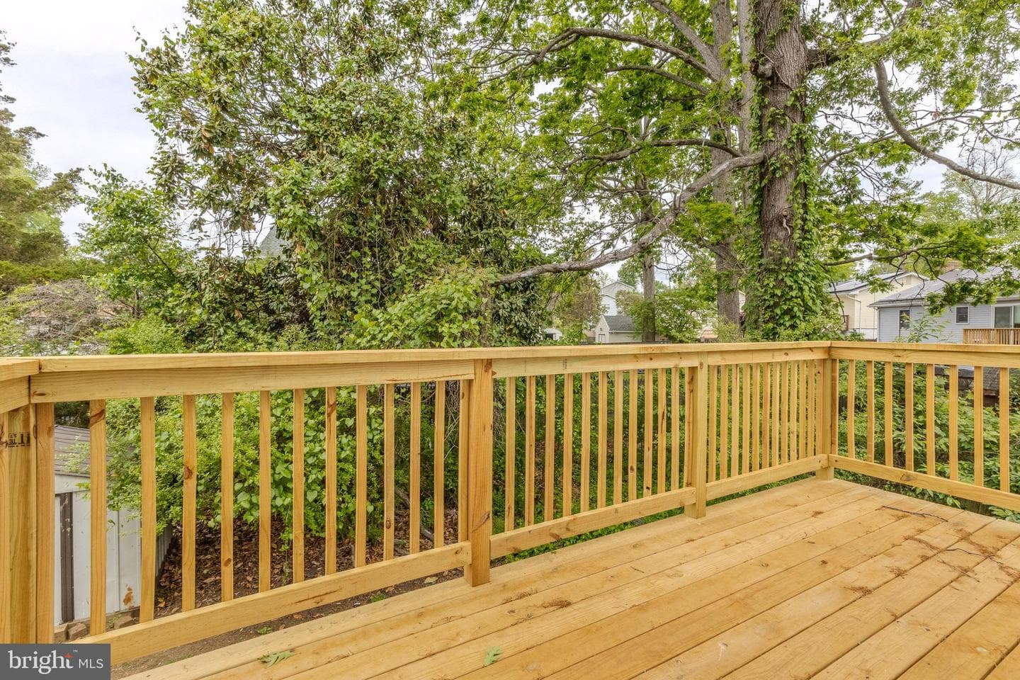 1749 Havre De Grace photo 22