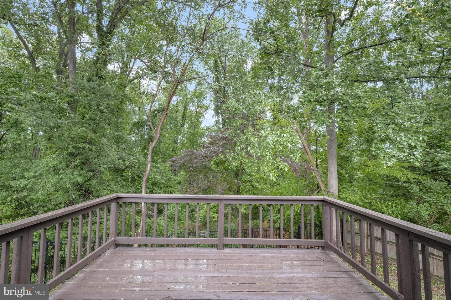 64 Wohl Court photo 3