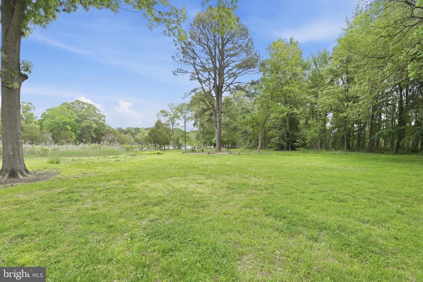 5865 Deale Beach Road photo 25