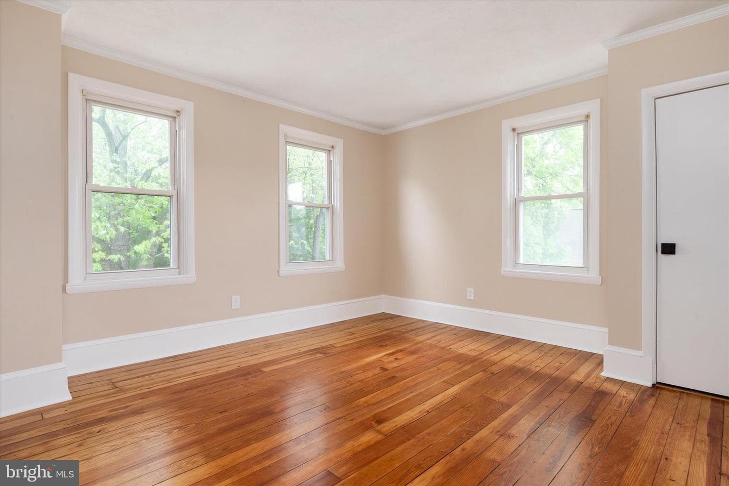 21 Woodlawn Avenue photo 35