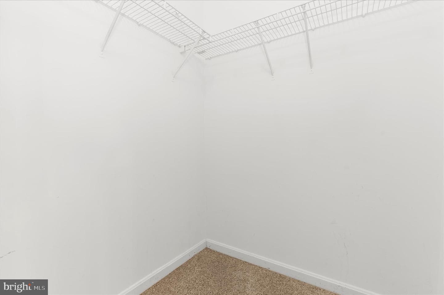 601 Forest Walk Lane #204 photo 22