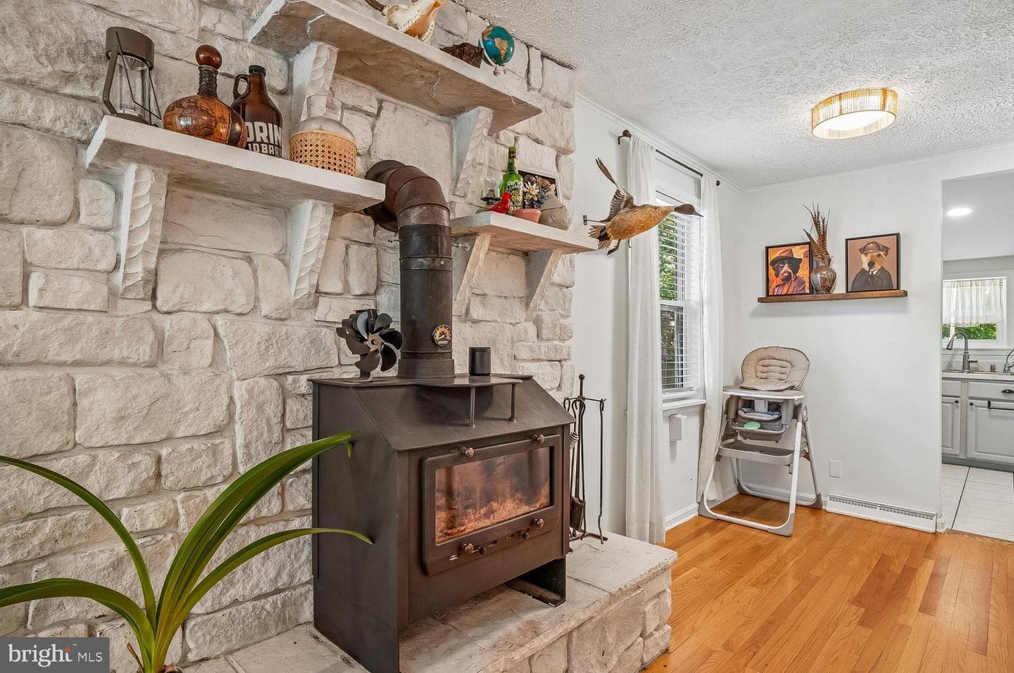 1217 Pine Avenue photo 6