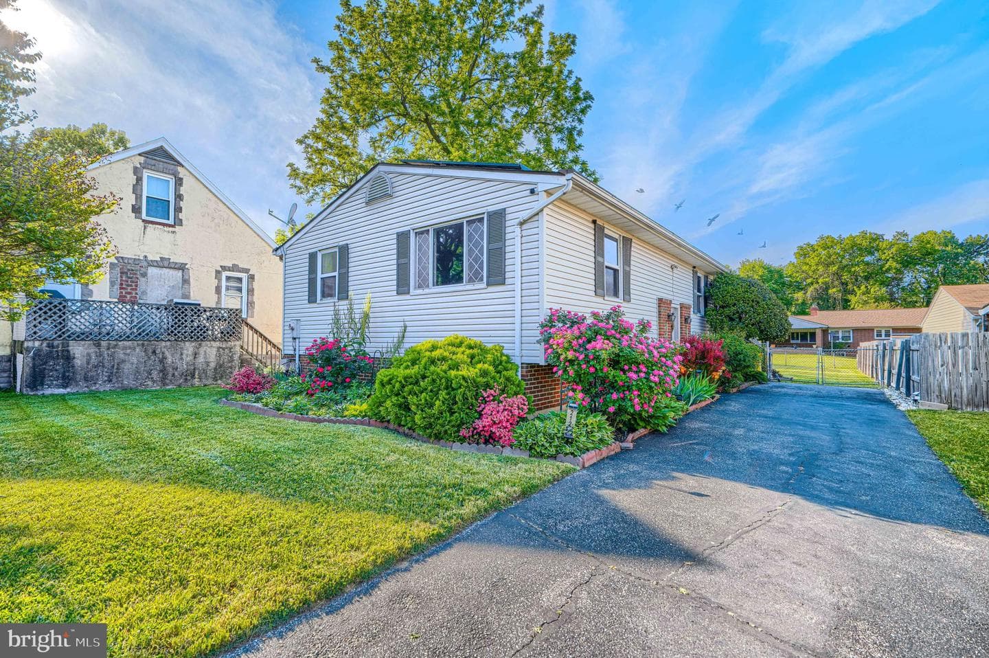 212 Evans Street photo 3