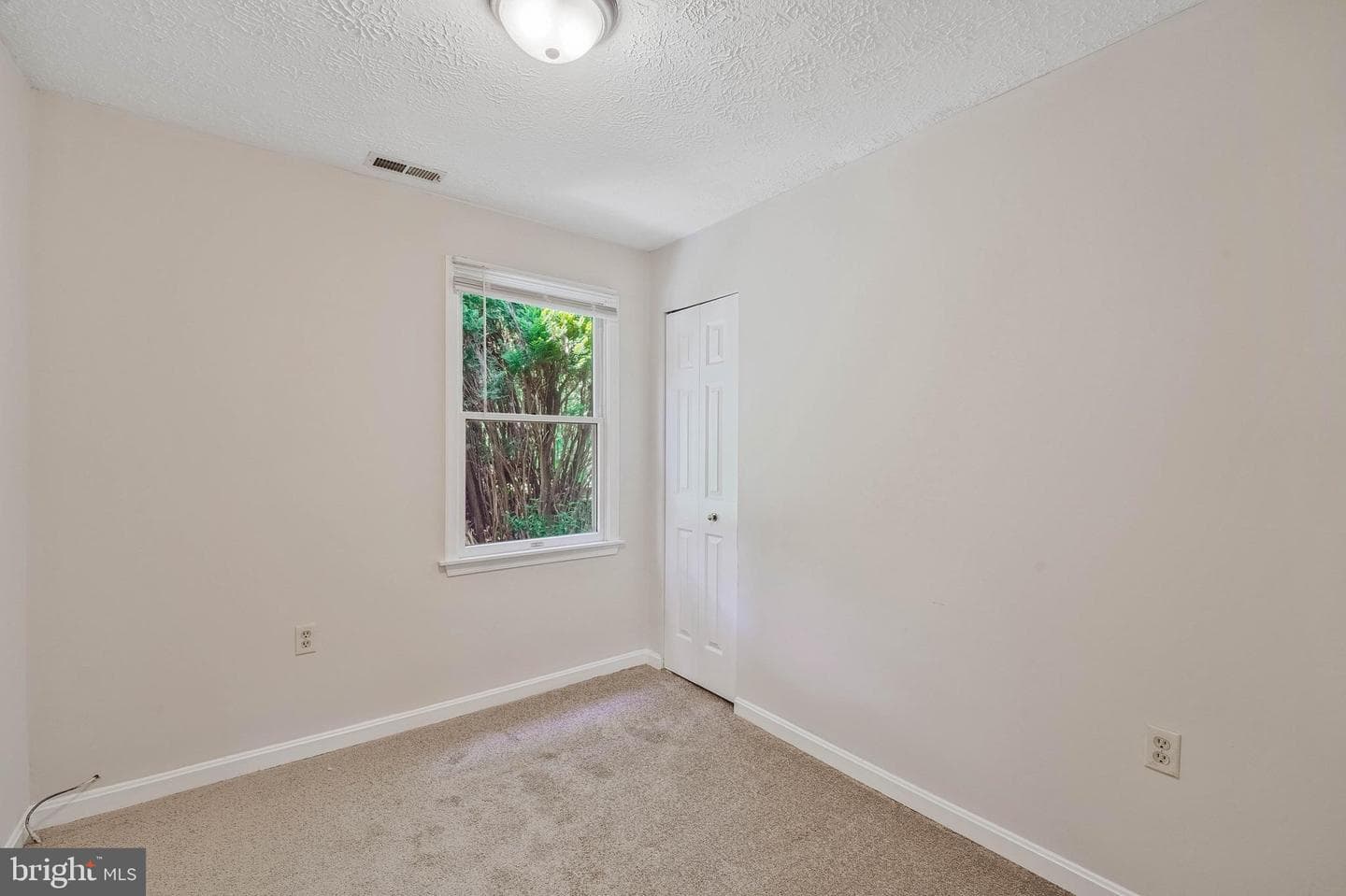 650 Teton Drive photo 15