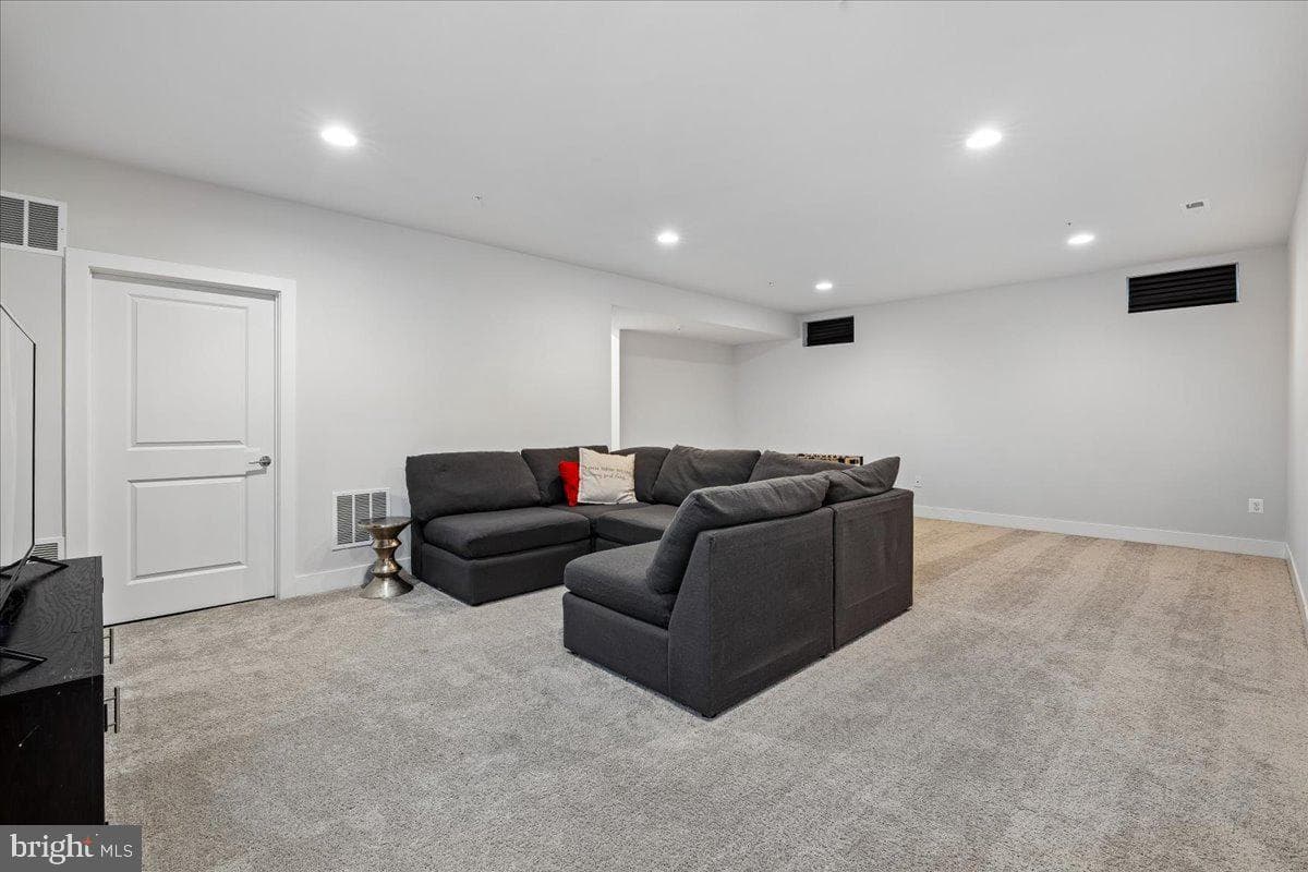 1517 Sandbar Willow Drive photo 48