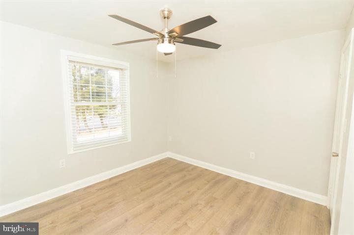 907 Reece Road photo 11