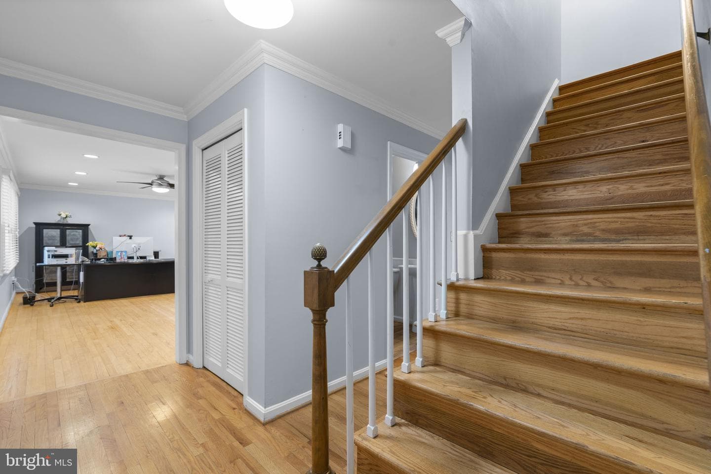23 Saint Andrews Road photo 6