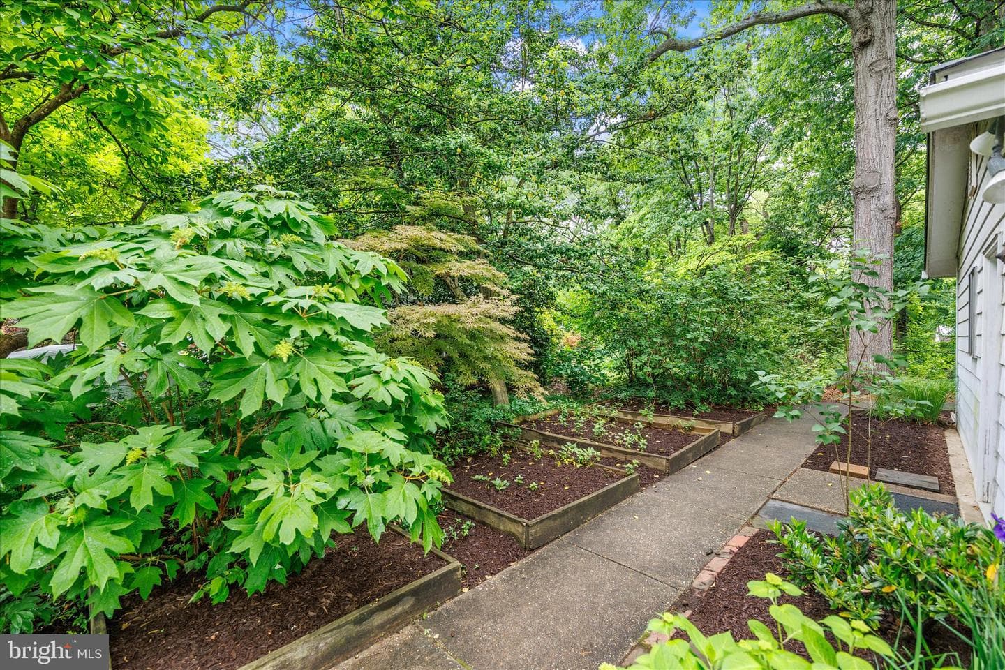 1402 Catlyn Place photo 39