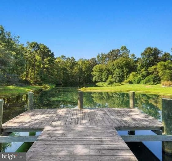 8323 Pondview Drive photo 60