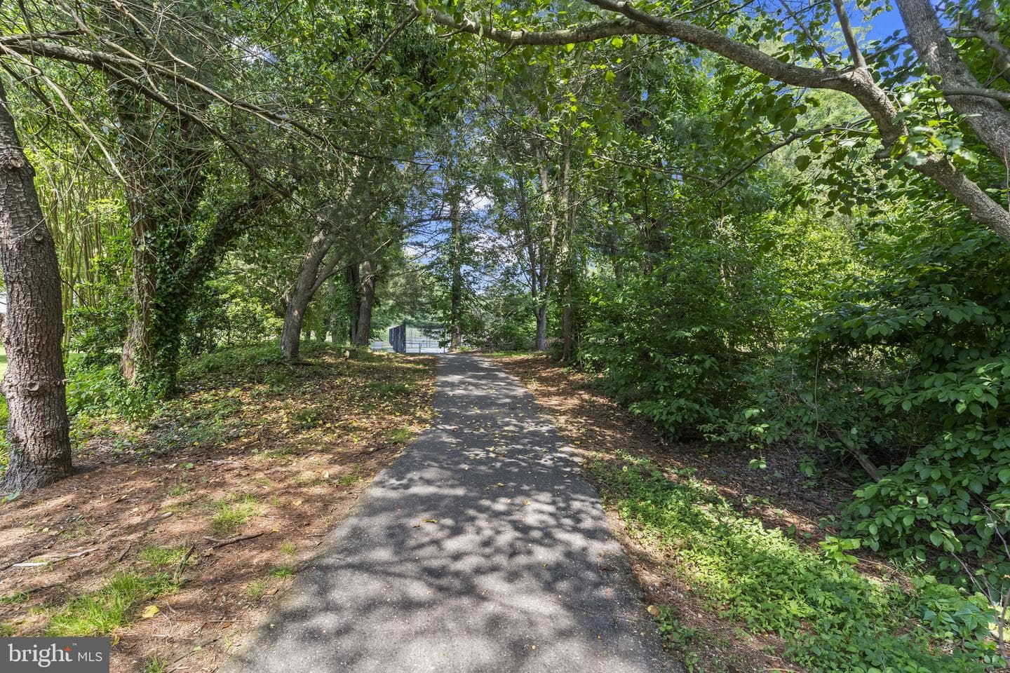 2505 Lesh Ct photo 61