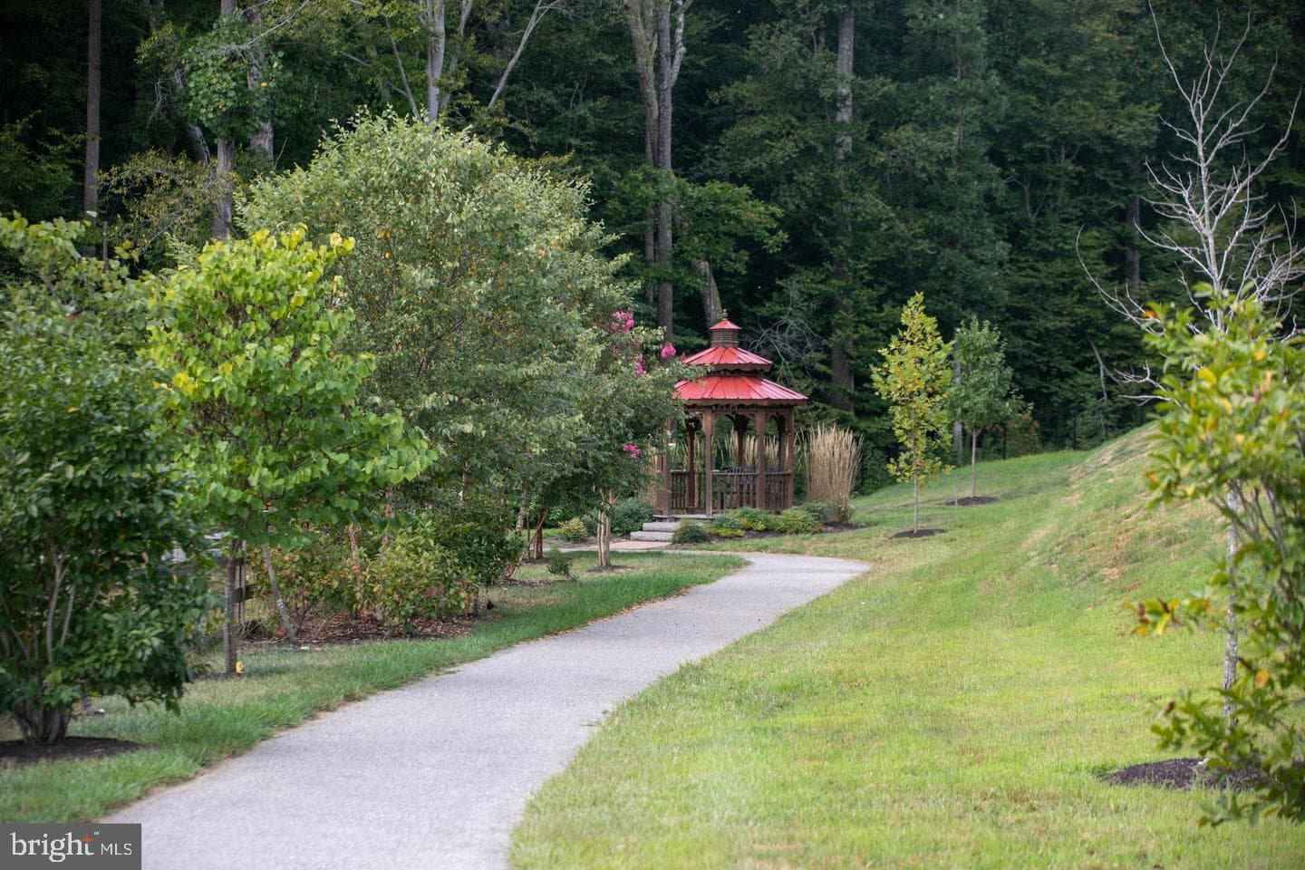 2859 Dragon Fly Way photo 55