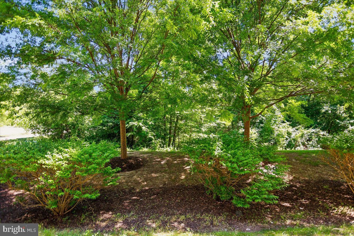 404 Willow Bend Drive photo 36