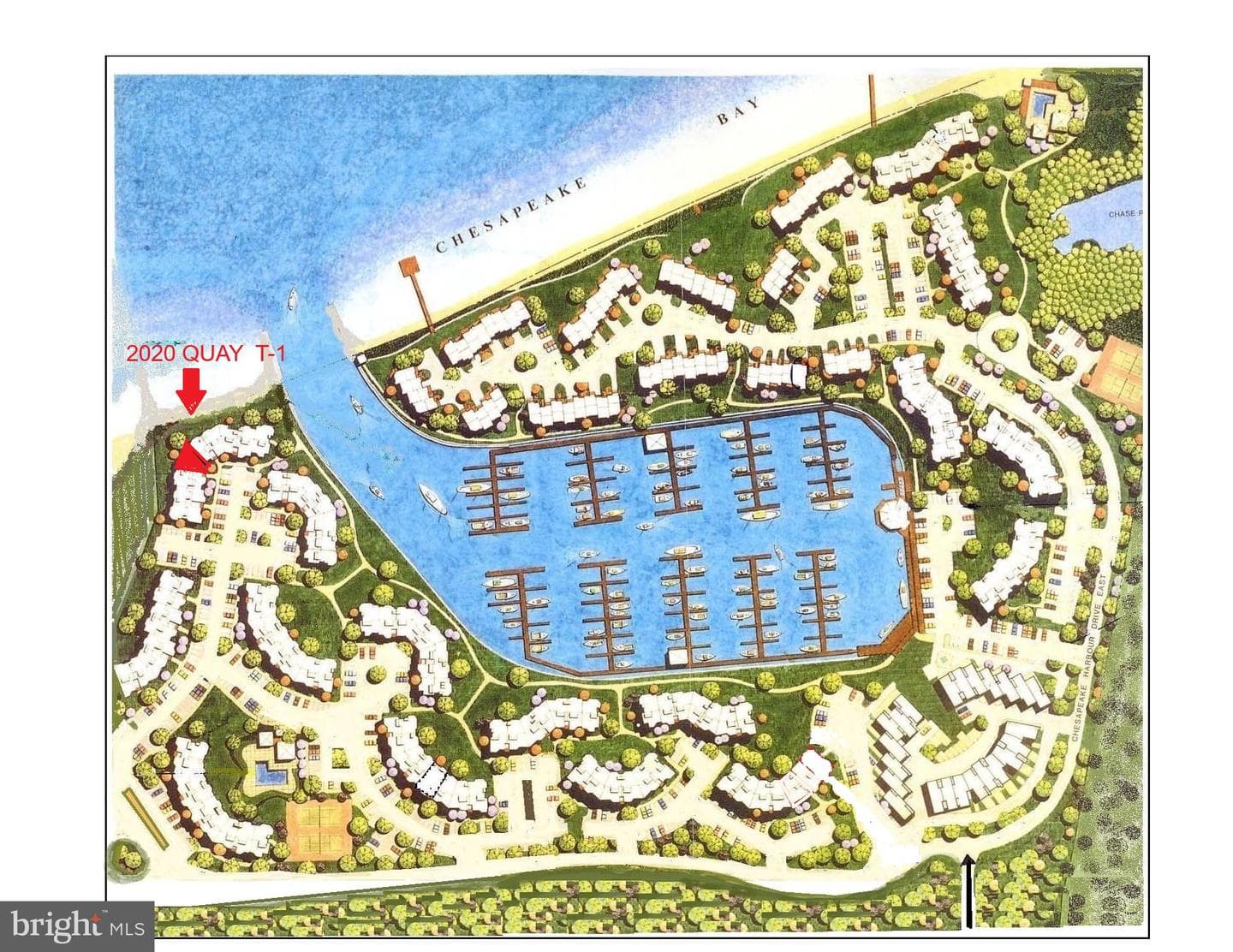 2020 Quay Village Court #t1 photo 4