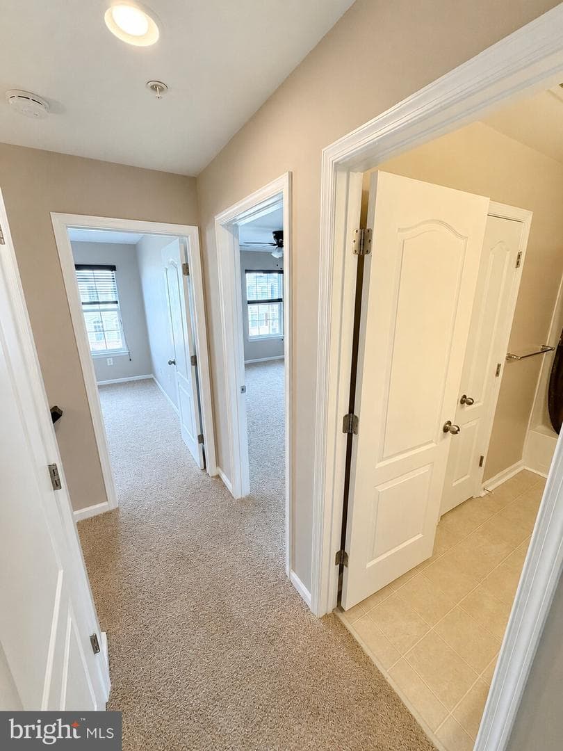 841 Oriole Avenue photo 21