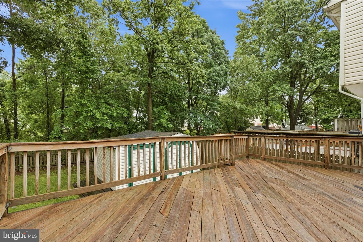 339 Green Mountain Court photo 19
