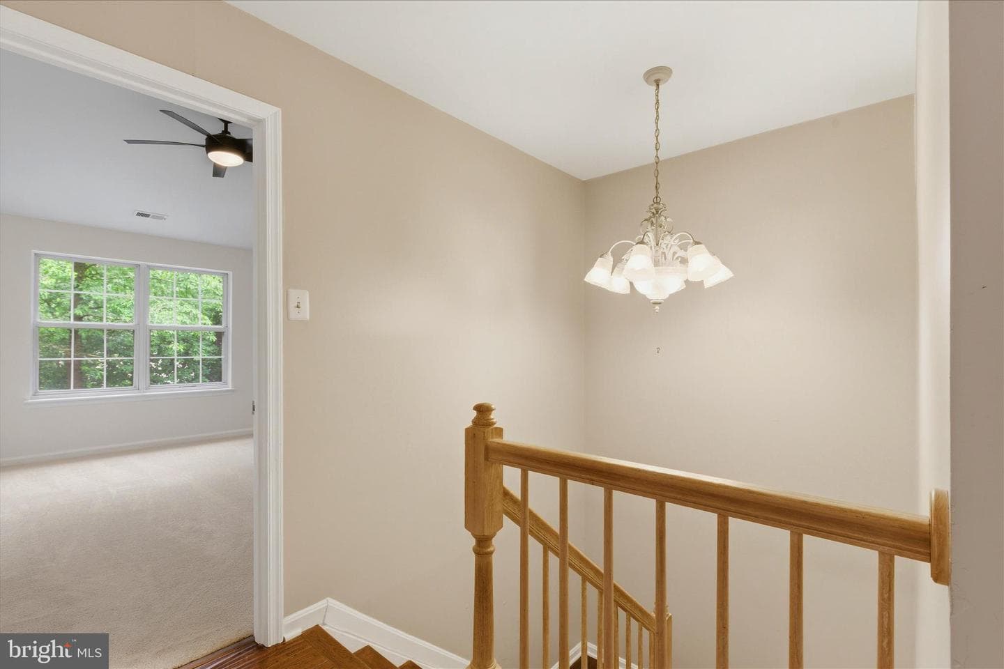 339 Green Mountain Court photo 22