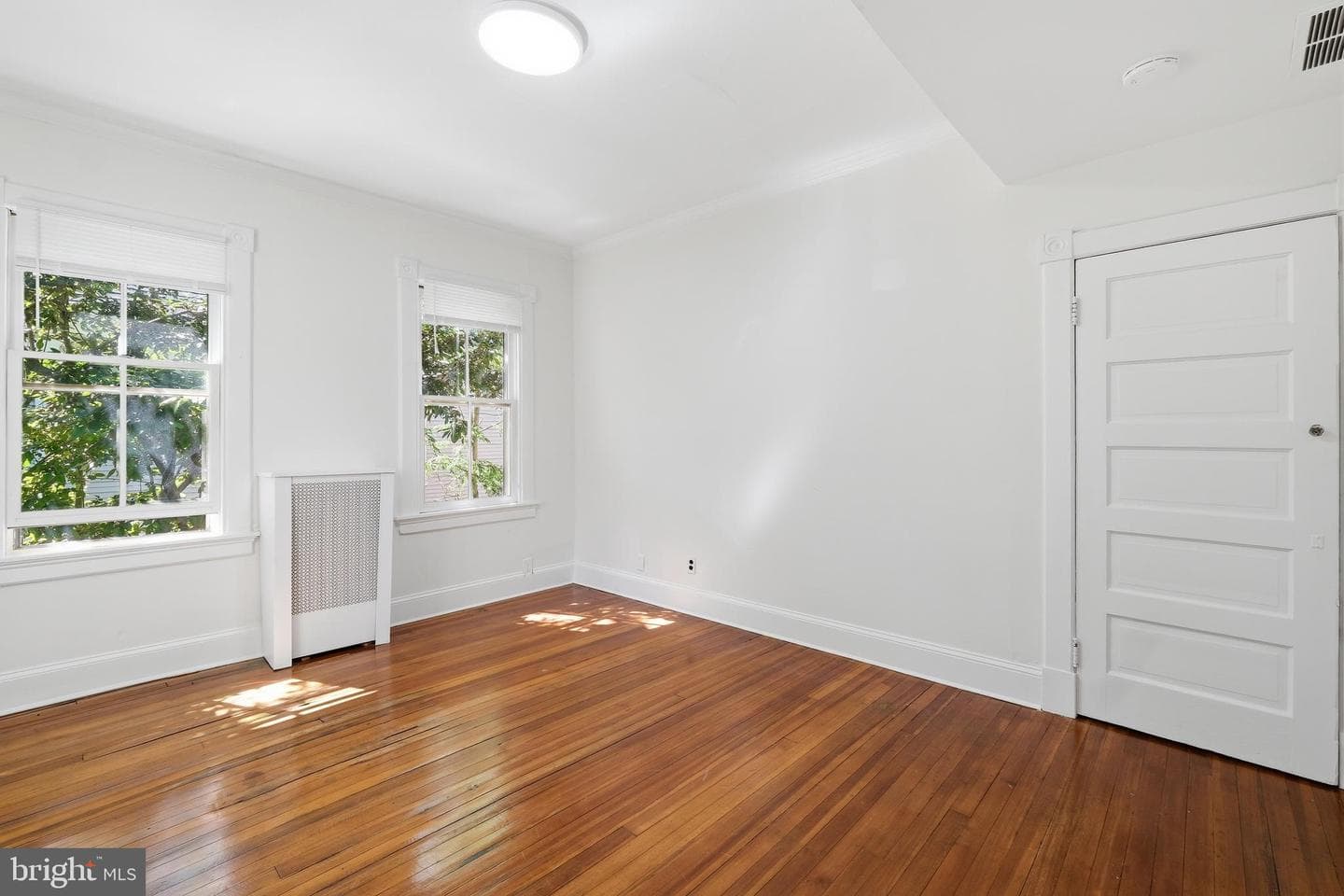 87 Shipwright Street photo 22