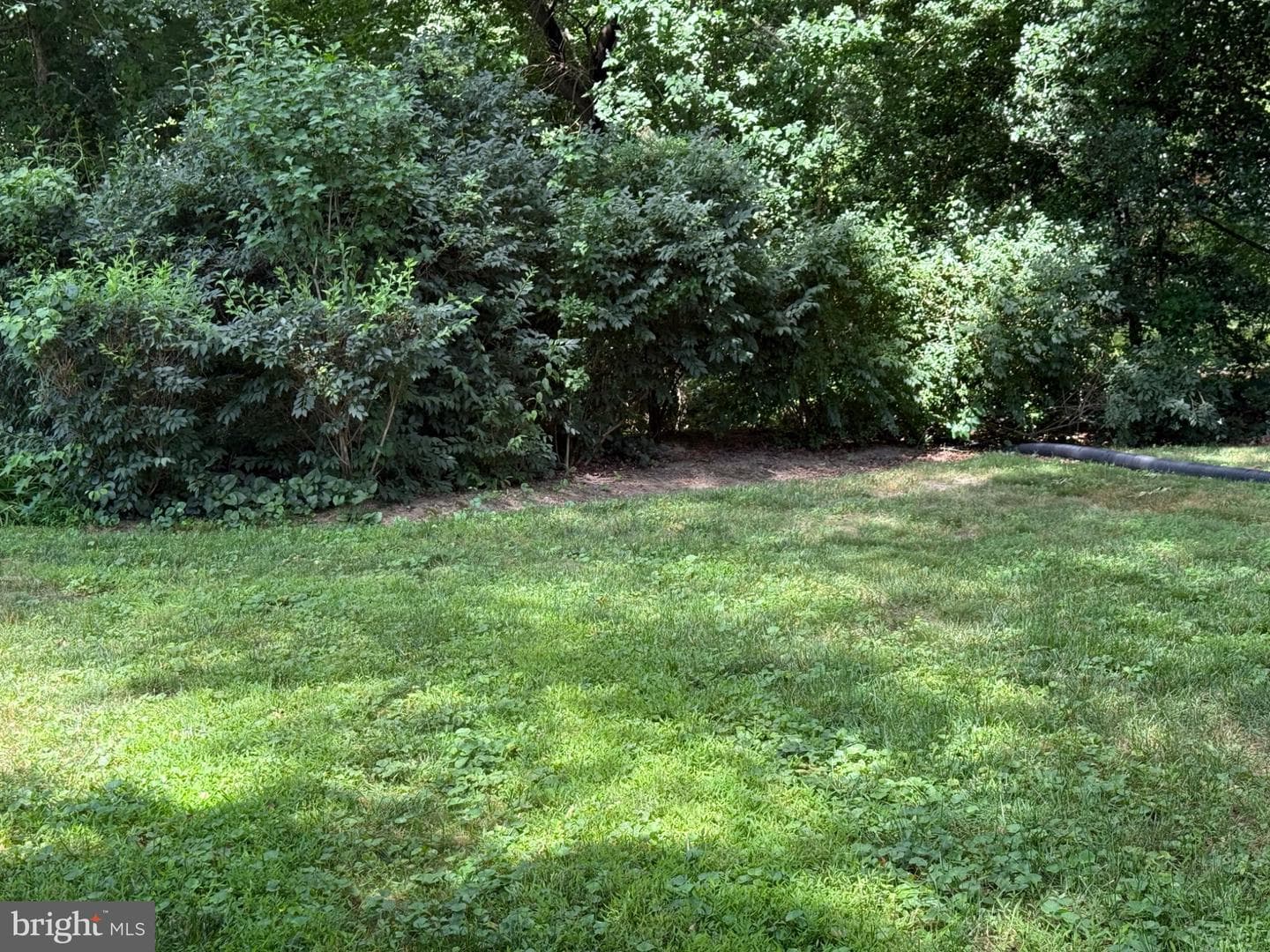 308 Saint Bees Drive photo 20