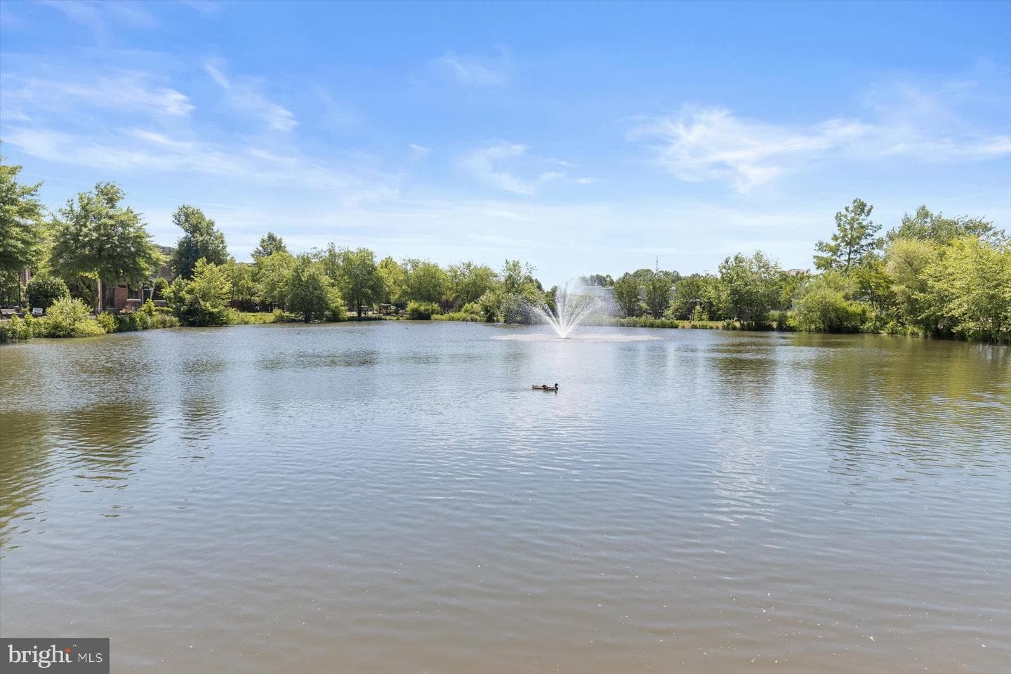 2608 Chapel Lake Drive #204 photo 23