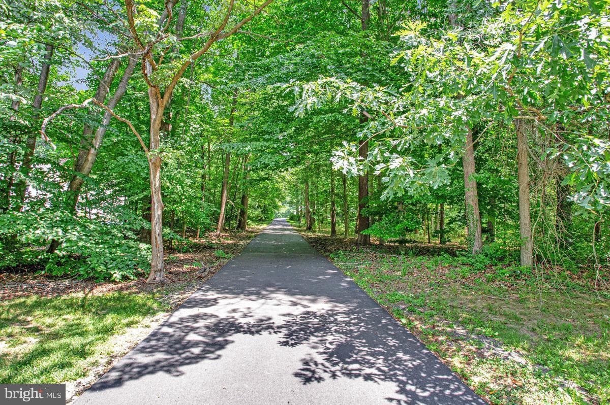 6521 Wilson Road photo 60