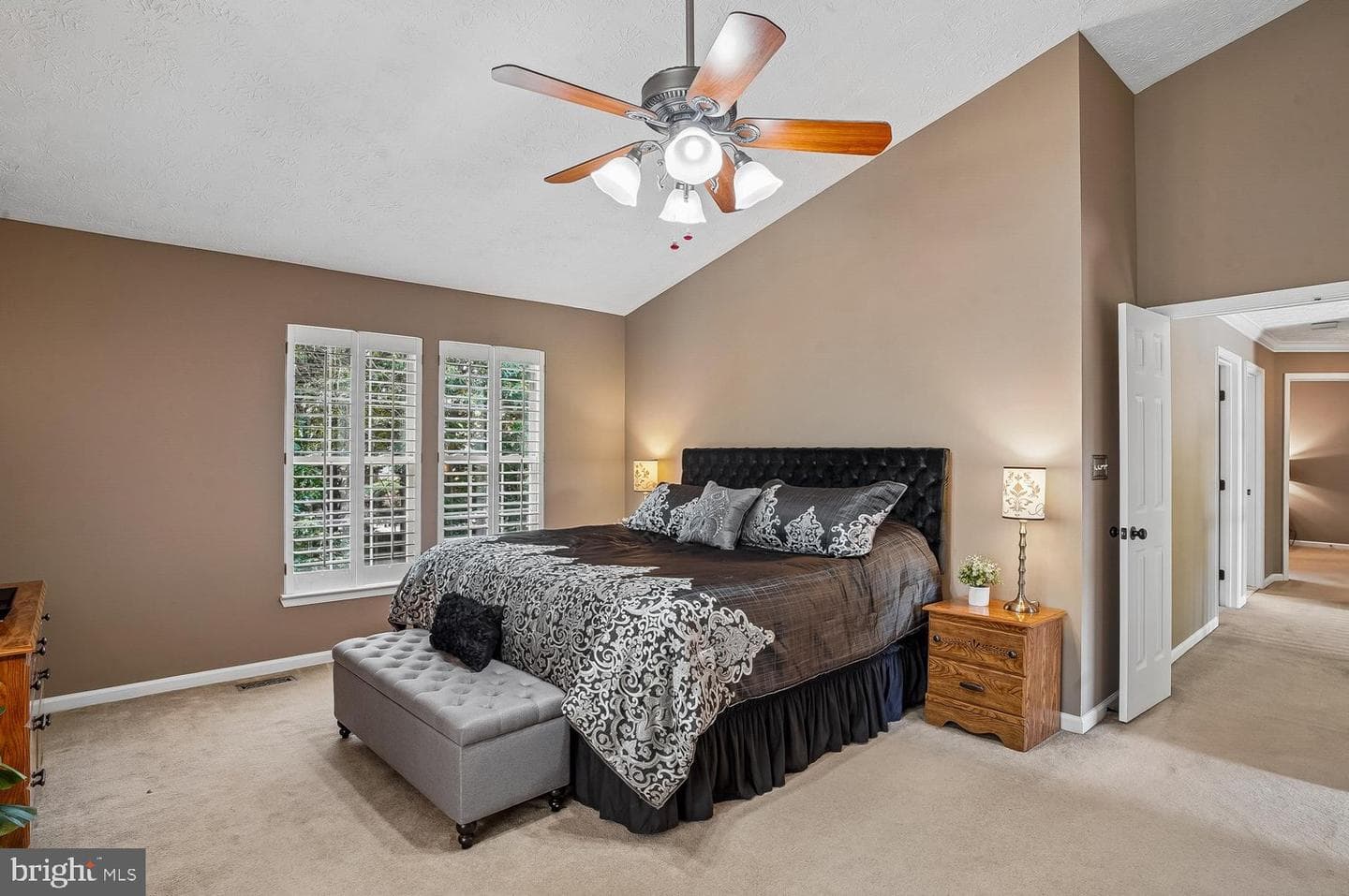 217 Raccoon Run Court photo 17