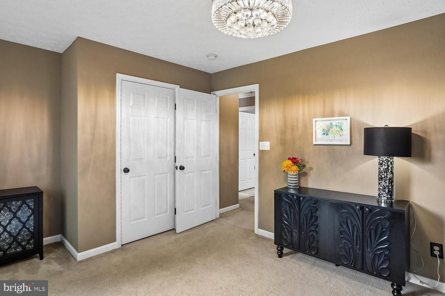 217 Raccoon Run Court photo 21