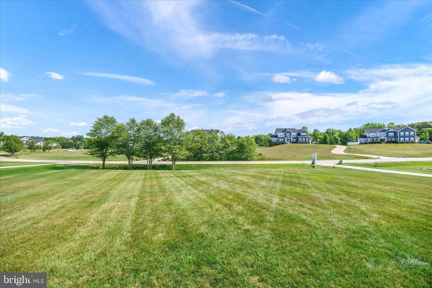 3706 Birkdale Court photo 6