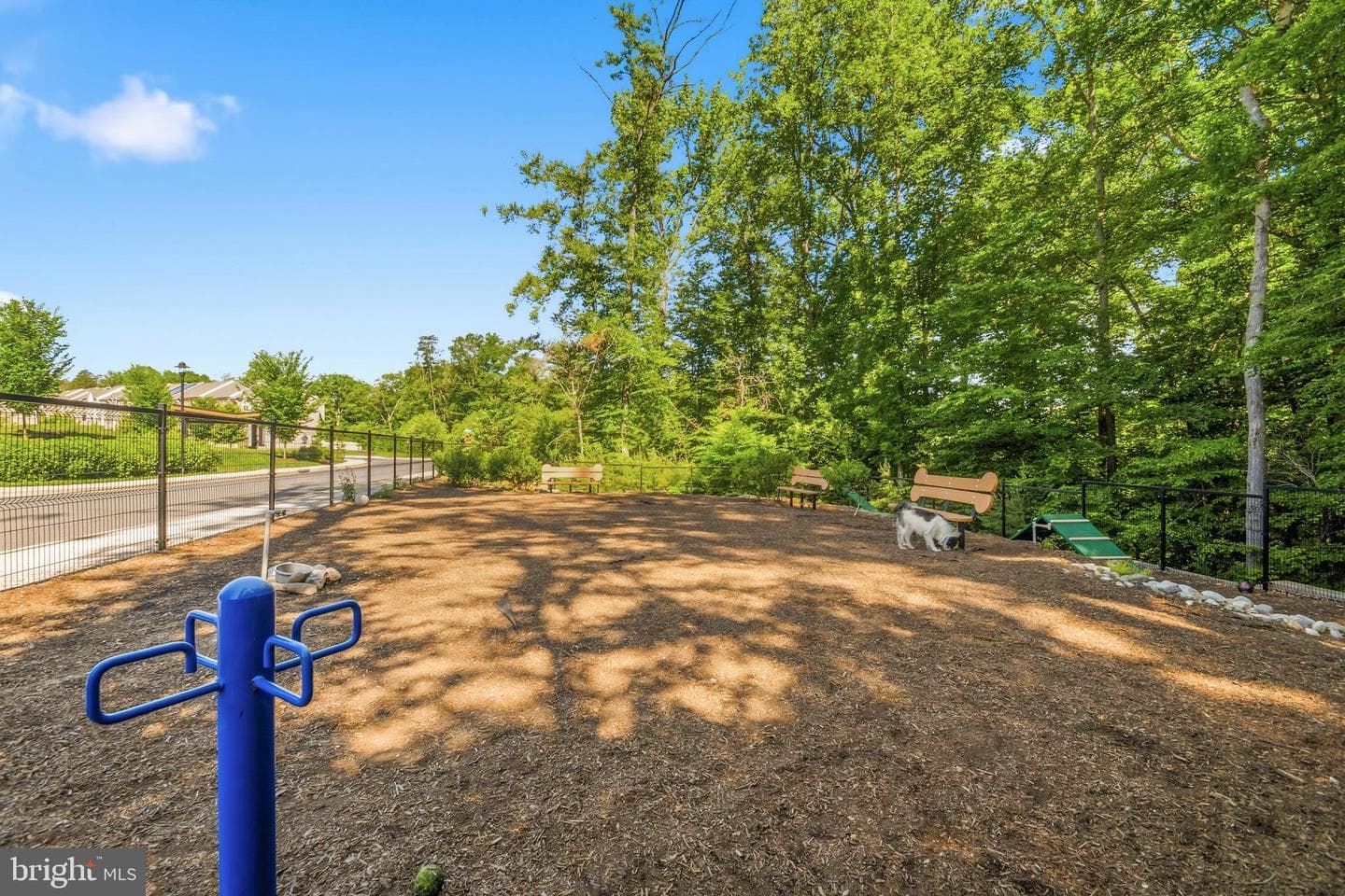 3336 Cormorant Drive photo 54