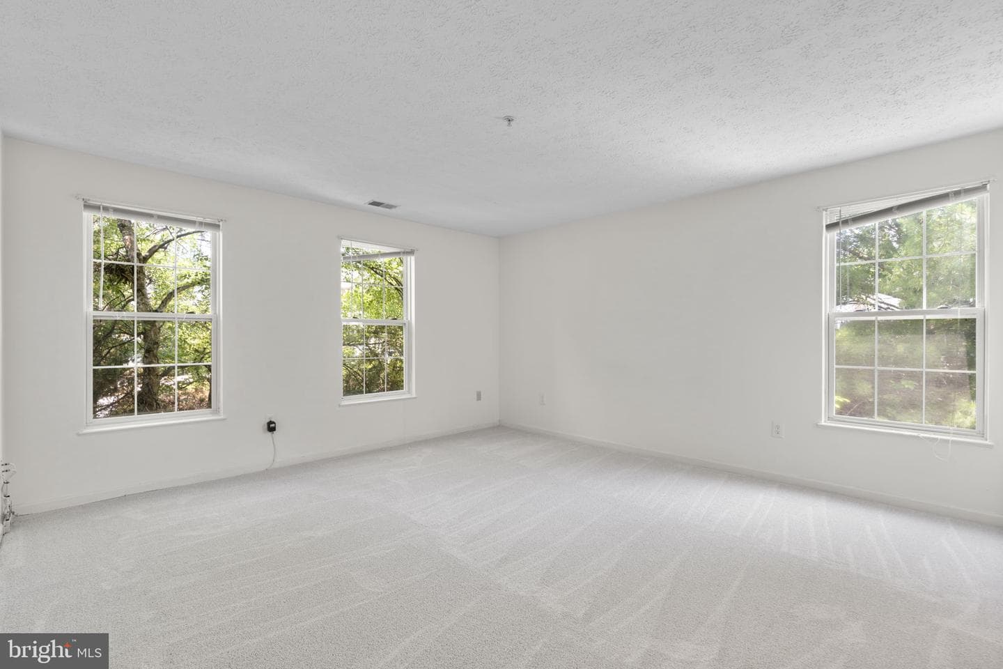 2444 Blue Spring Court #203 photo 18