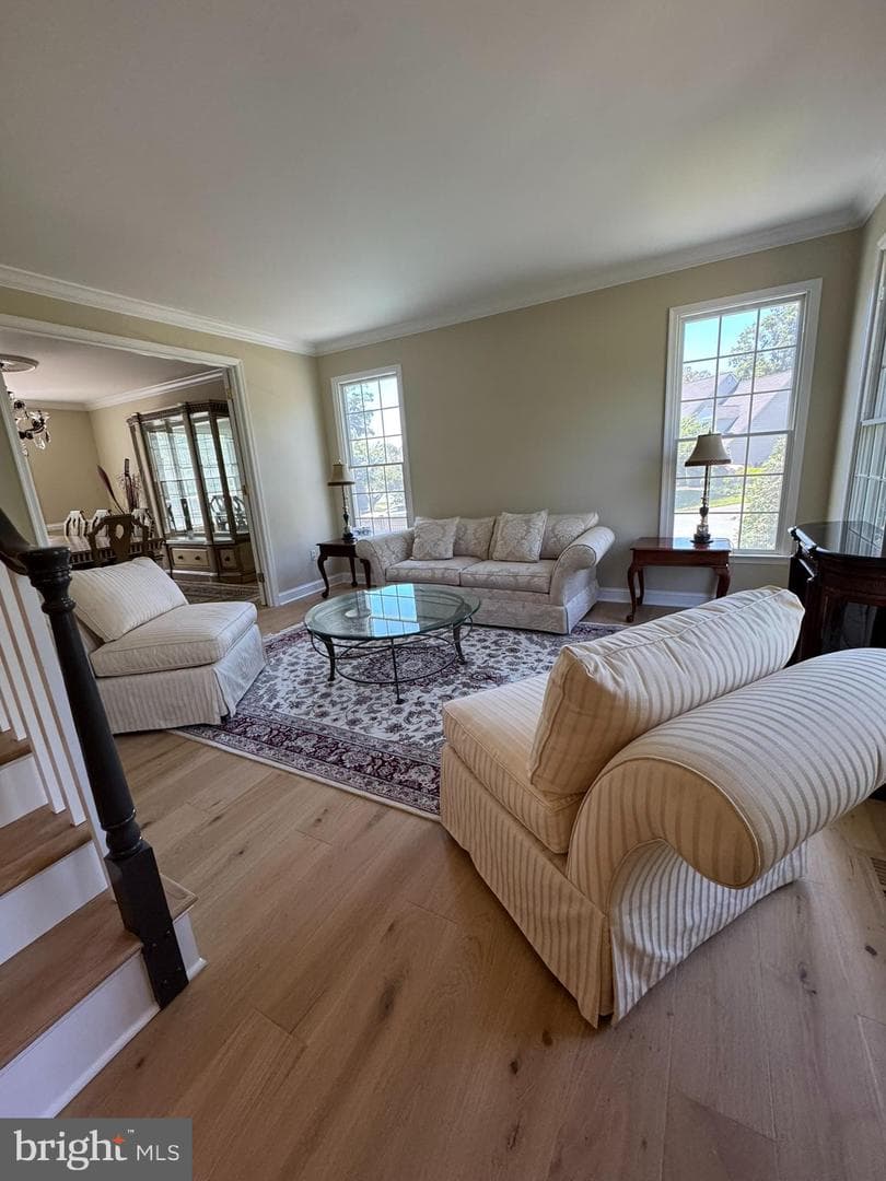 59 Simmons Lane photo 16