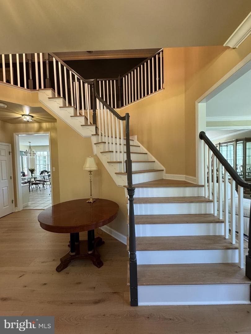 59 Simmons Lane photo 21