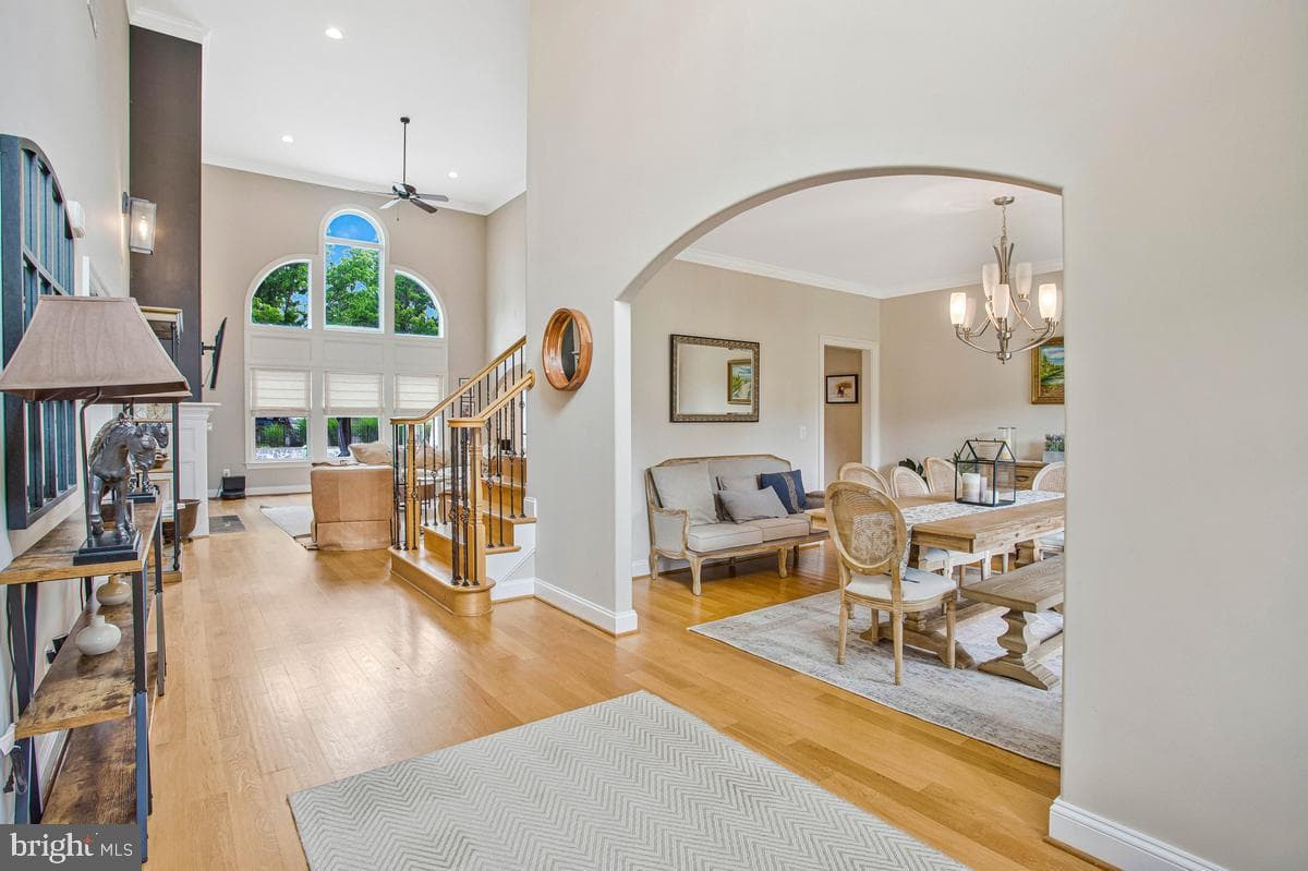 5 Jessie Road photo 16