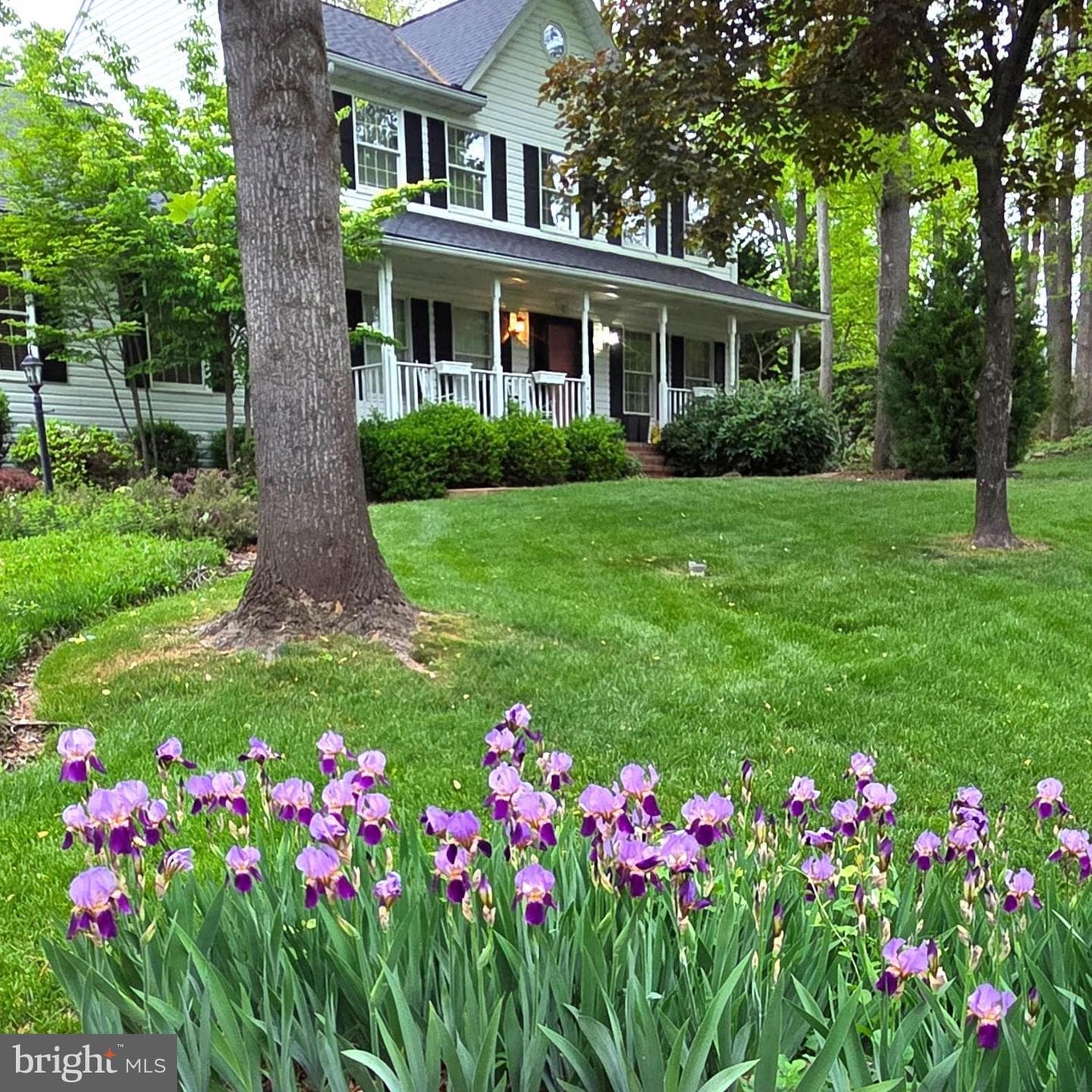 1482 Westcliff Drive photo 4