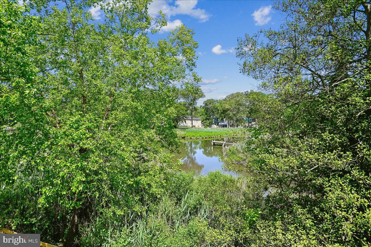 4950 Bonniewood Drive photo 41
