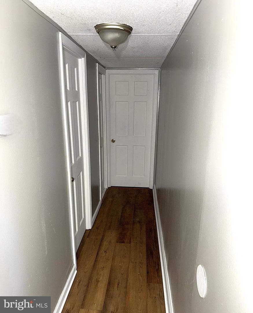 988 Tequila Straight Drive photo 10