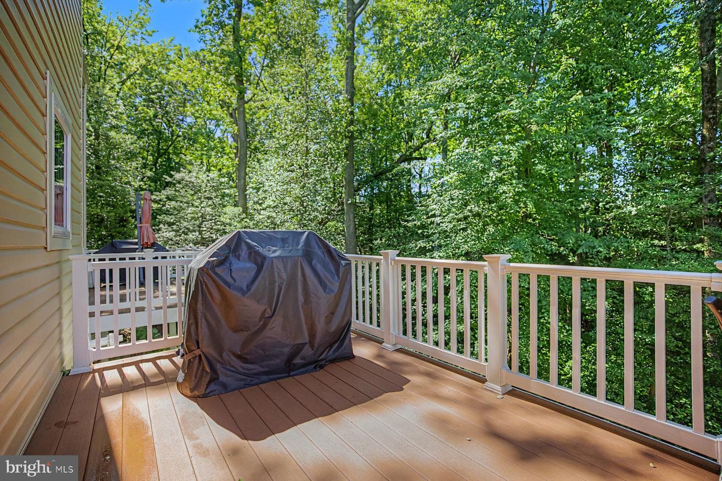 645 Bracey Drive photo 33