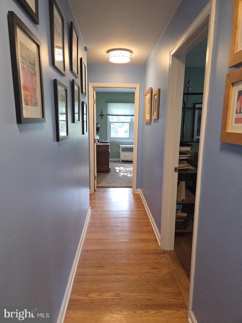 278 Hillsmere Drive photo 18