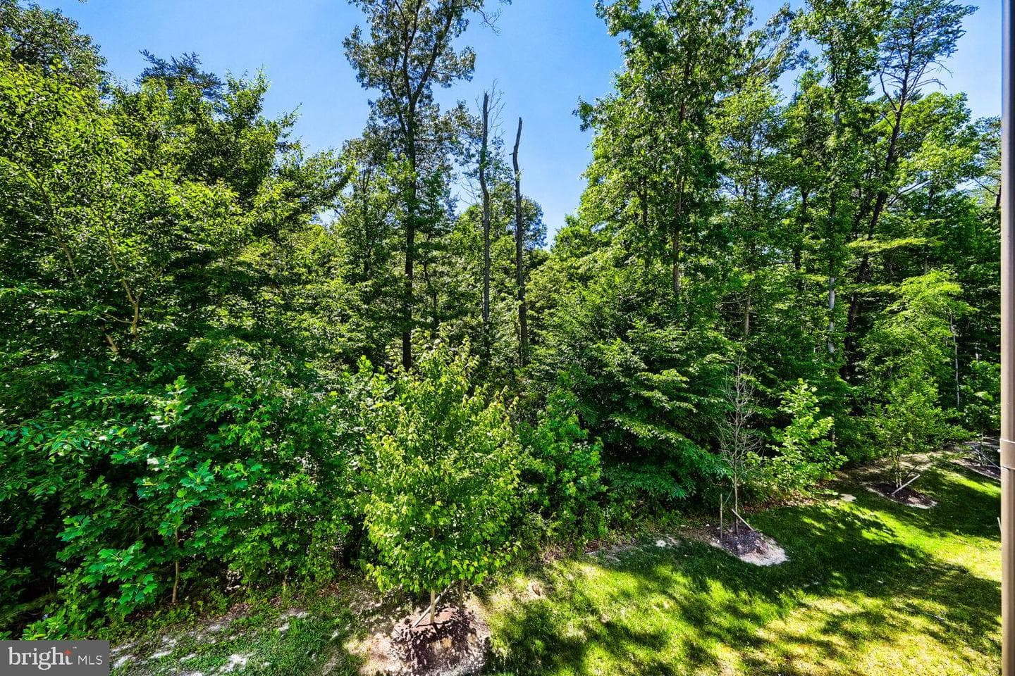 3414 Watershed Boulevard photo 16