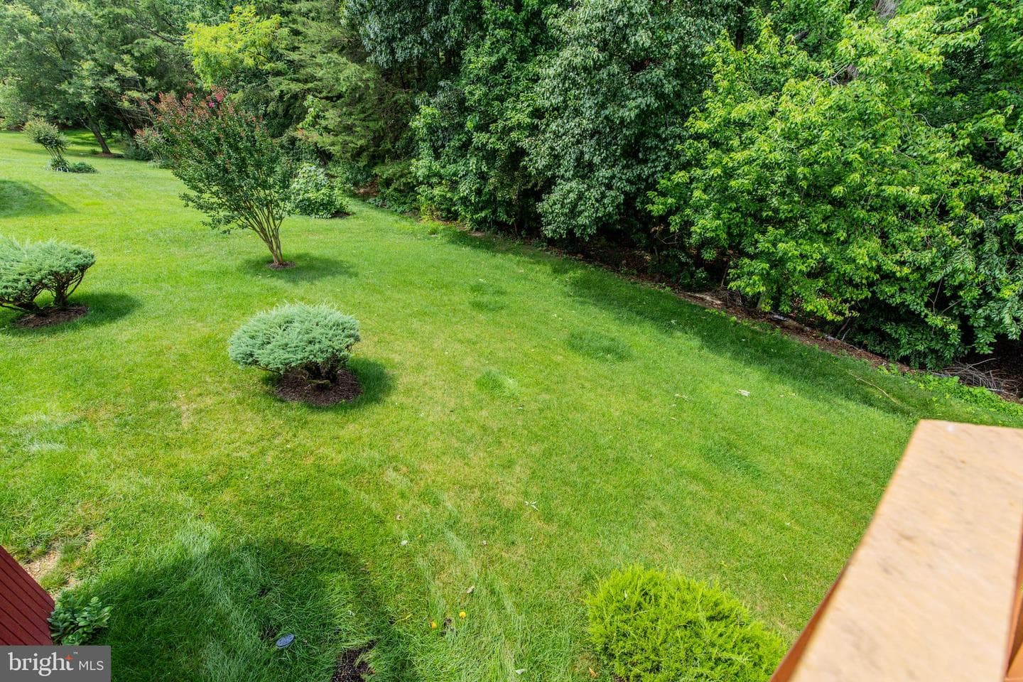 734 Thornwood Drive photo 52