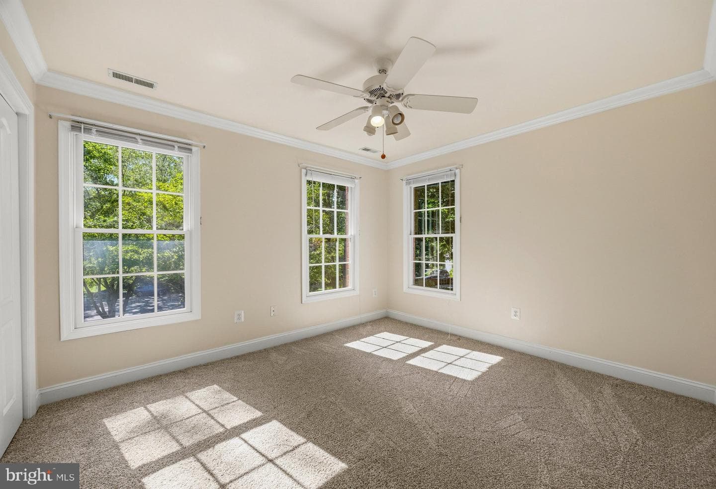 1135 Goldfinch Lane photo 37