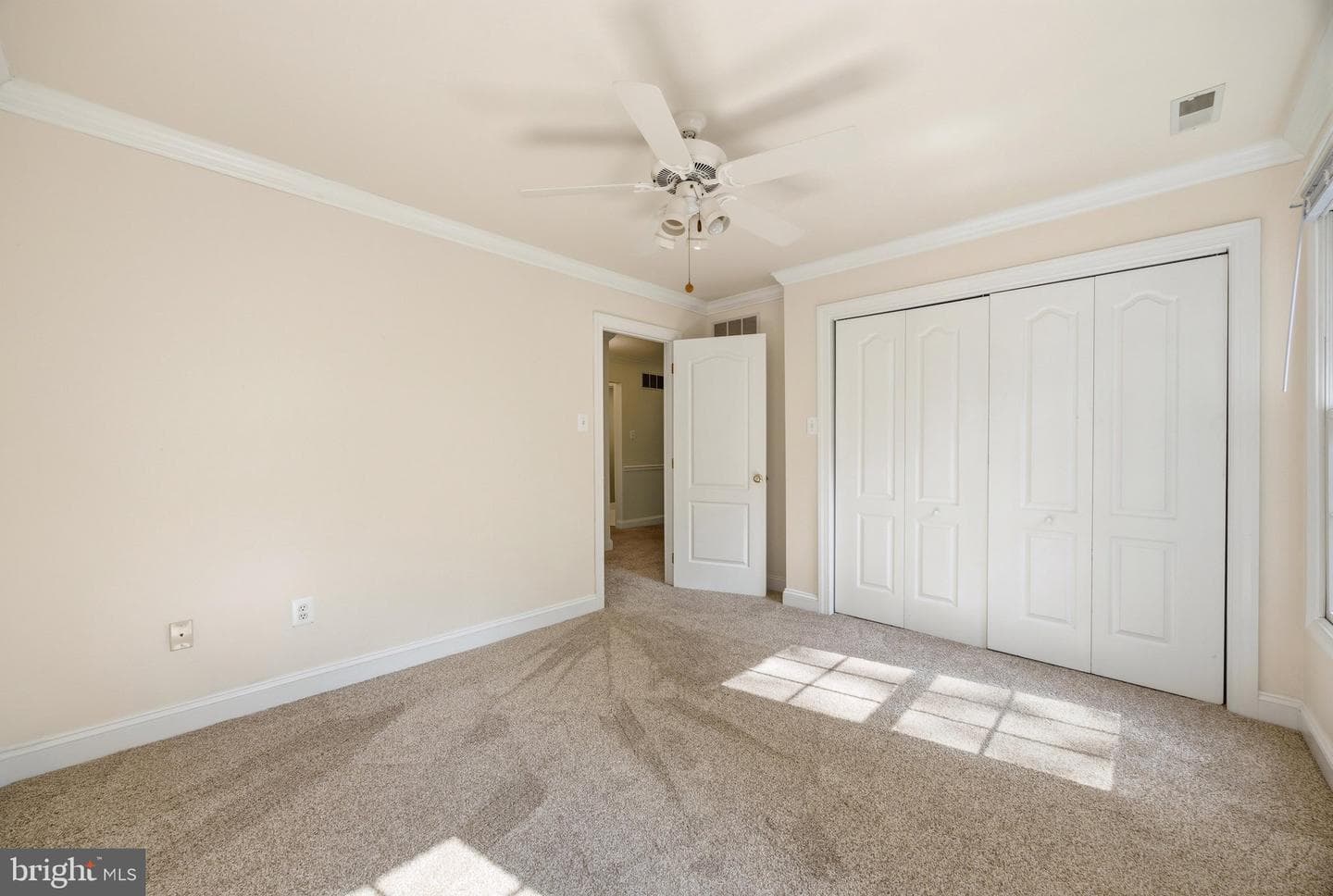 1135 Goldfinch Lane photo 38