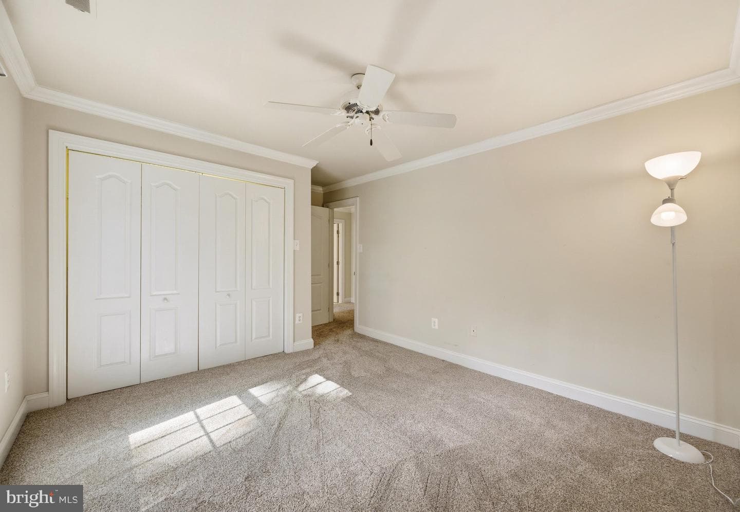 1135 Goldfinch Lane photo 40