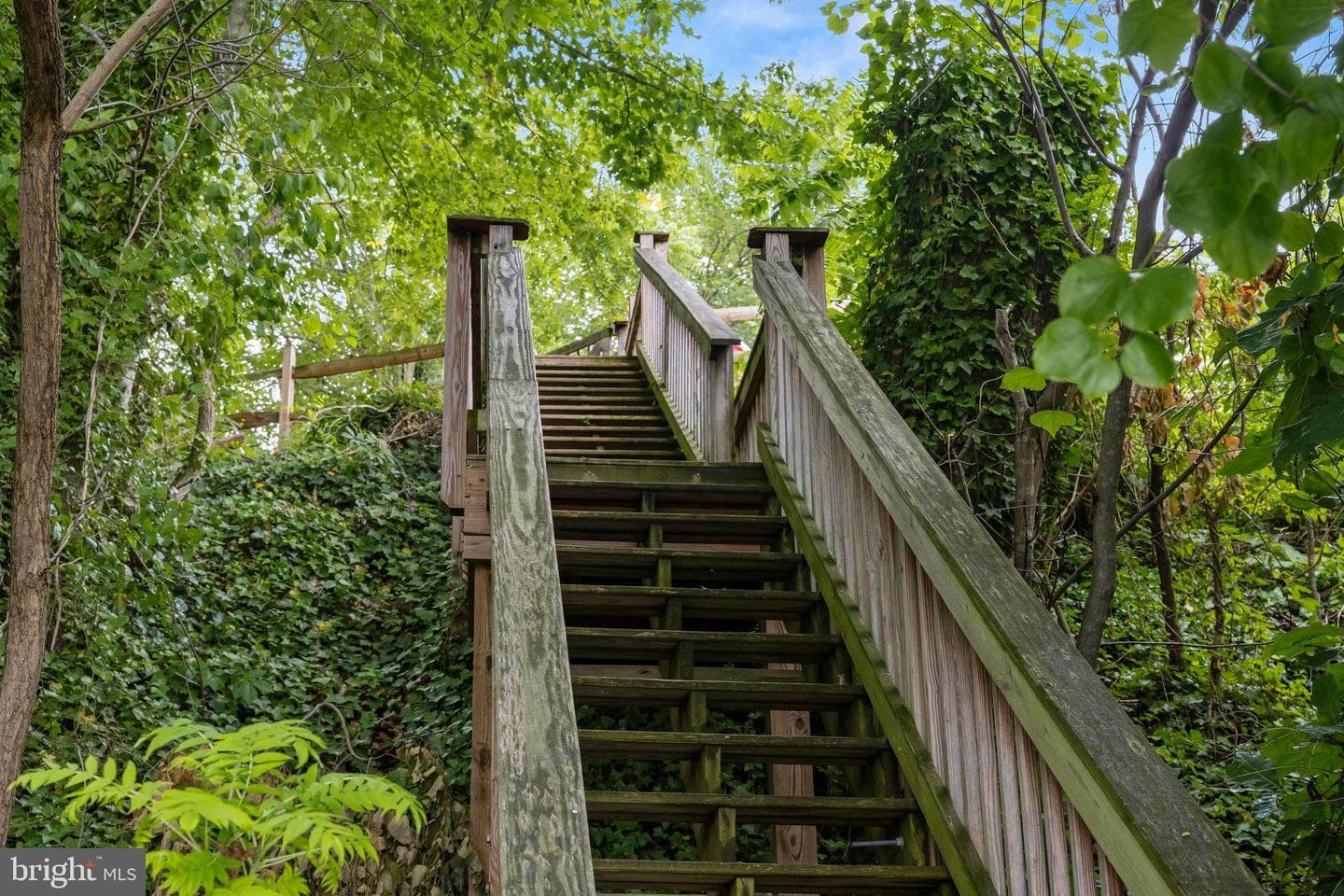 844 Harbor View Terrace photo 53