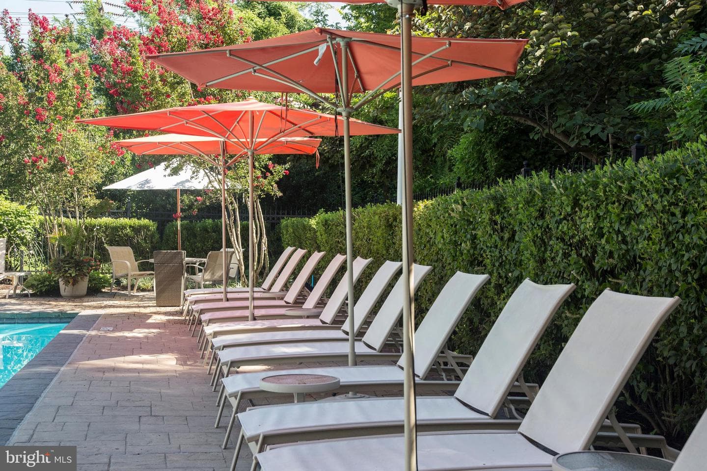 5 Park Place #415 photo 54