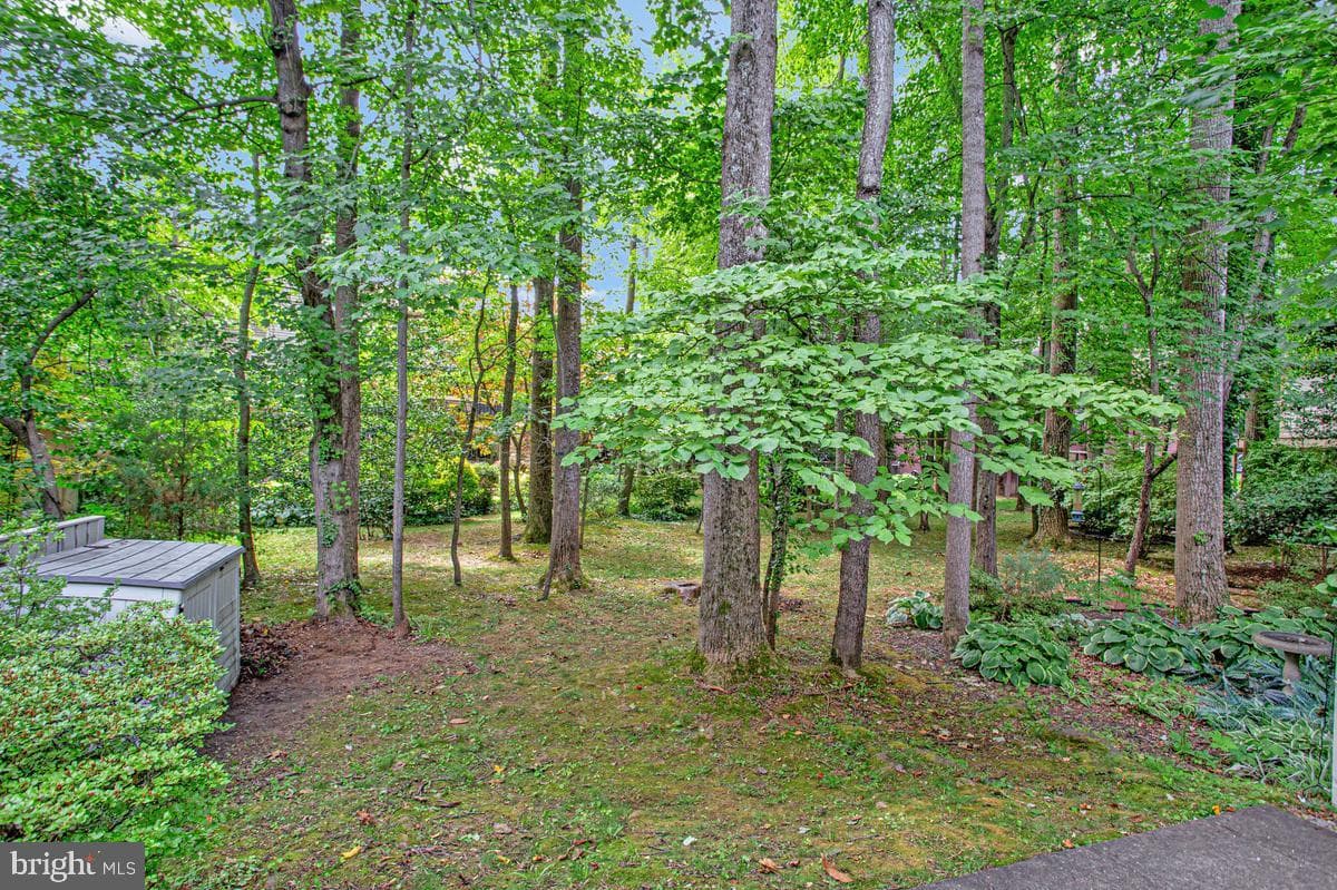 448 Cranes Roost Court photo 22