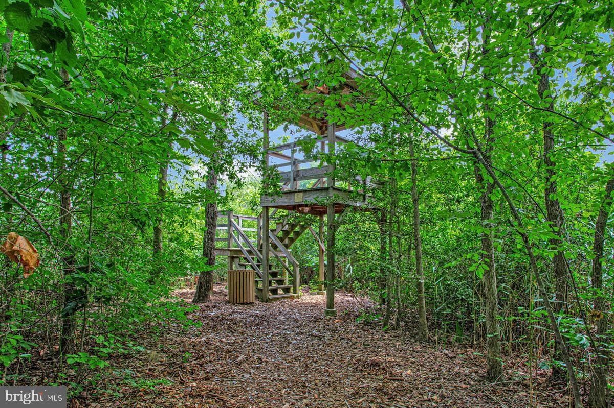 448 Cranes Roost Court photo 25