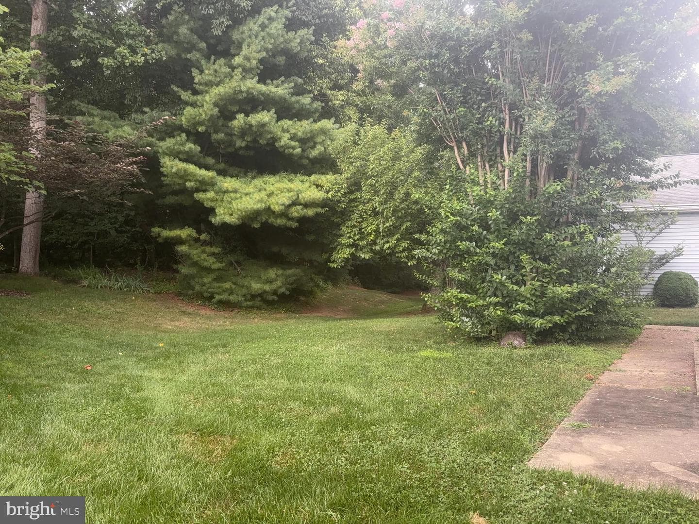 708 Sydney Terrace photo 44