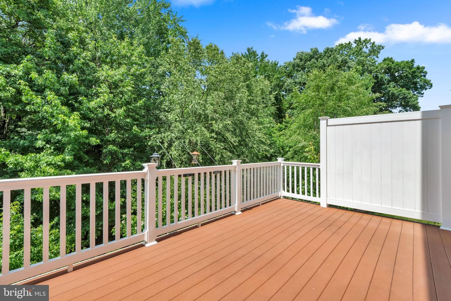 7278 Dorchester Woods Lane photo 34