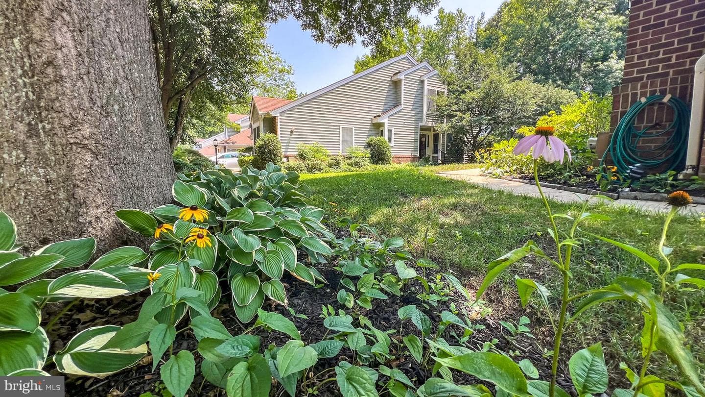 114 Spring Place Way photo 72
